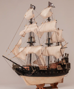 The Black Swan – OcCre