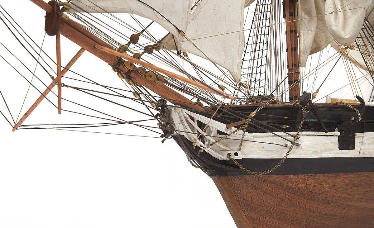 HMS Beagle – OcCre - Image 8