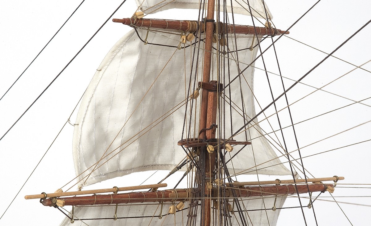 HMS Beagle – OcCre - Image 7