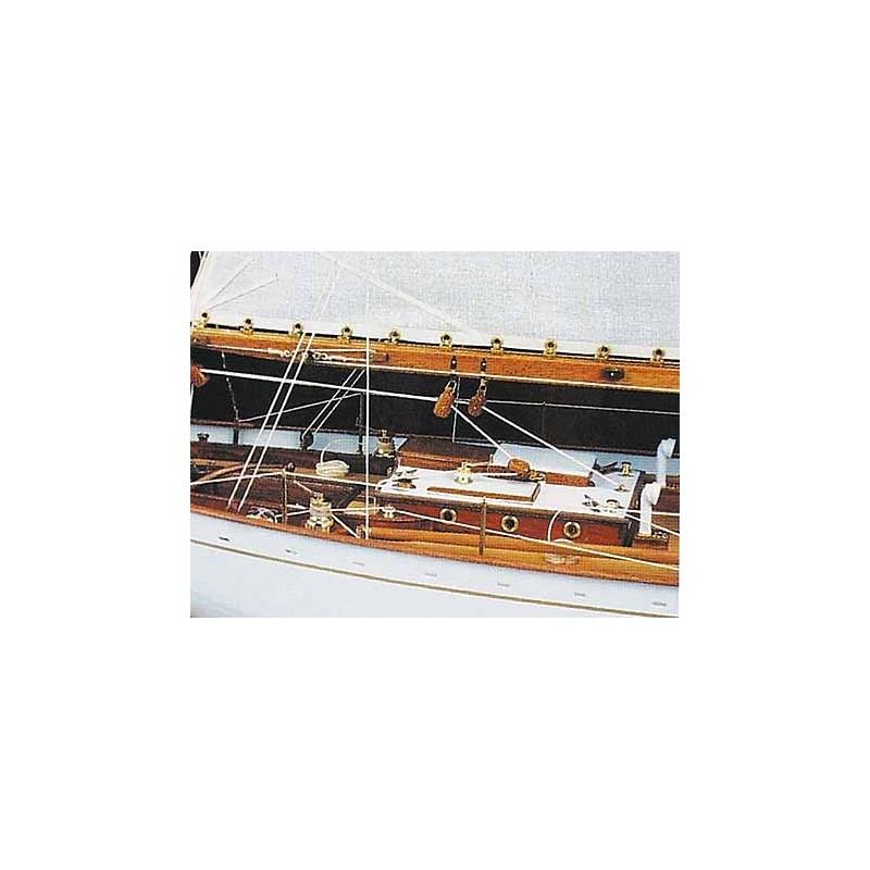 Dorade – Amati - Image 2