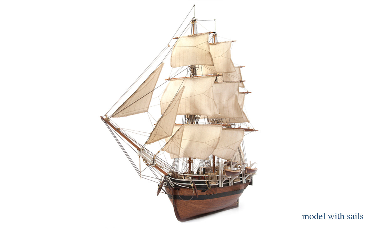 Essex Whaleship – Occre - Image 4