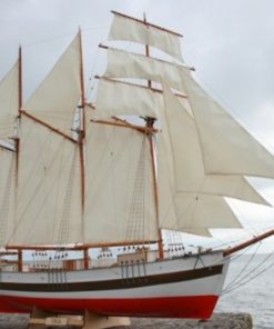 Schooner Vega – Turk
